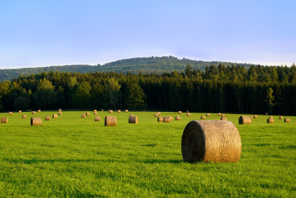 Net Wrap’ Why Farmers Are Rethinking the ‘Fastest’ Way to Make a Bale net wrap